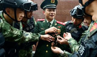 忠诚战士电视剧 忠诚战士电视剧